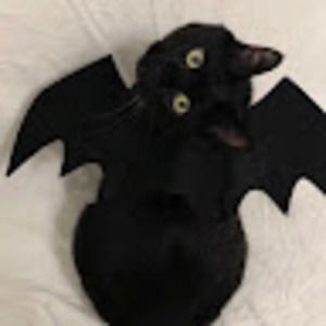 Meet your Posher, Vee